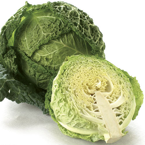 Cabbage Heirloom Savoy Exotic Vegetable Seeds