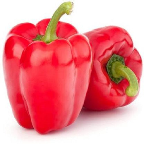 Capsicum Shimla Red Mirch Imported | Vegetable Seeds