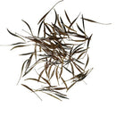 Cosmos Orange and Yellow Mix Color Flower Seeds