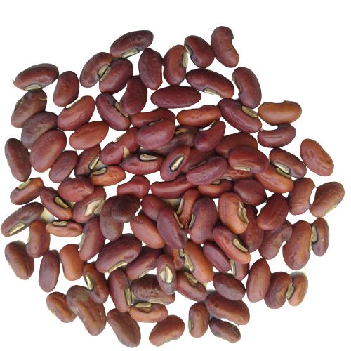 Cowpea Lobia Beans | Vegetable Seeds