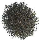 Echinofossulocactus Caespitosus Flower Cactus Seeds (Set of 10 Seeds)