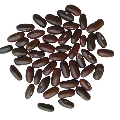Hybrid France Bean | Vegetable Seeds