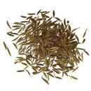 Gerbera Seeds Any Color | Flower  Seeds