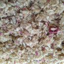 Gomphrena Any Color Flower Seeds