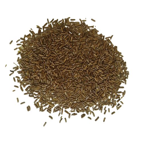 helichrysum flower seeds Paper Flower Helichrysum Bracteatum Mix Color Flower Seeds