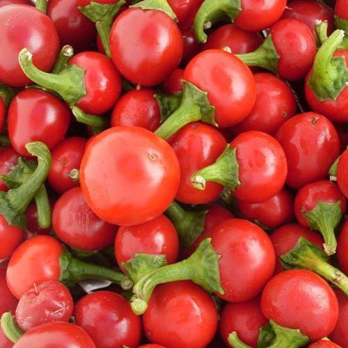 Hot Pepper Round Shaji Chilli Seeds | Exotic Vegetable Seeds