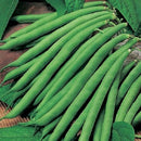 Hybrid France Bean | Vegetable Seeds