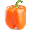 Capsicum Orange | Exotic Vegetable Seeds