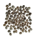 Lupins Mixed Color Flower Seeds