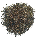 Notocactus Crassigibus Yellow Flower Cactus Seeds | Set of 10 Seeds