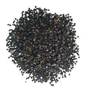 Notocactus Euginae Van Villiet Flower Cactus Seeds Set of 10 Seeds