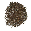 Notocactus Rutilans Cactus Flower Seeds (Set of 10 Seeds)