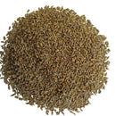 Parsley Moss Curled Imported Herb Vegetable Seeds