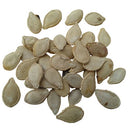 Hybrid Pumpkin Bheema | Vegetable Seeds