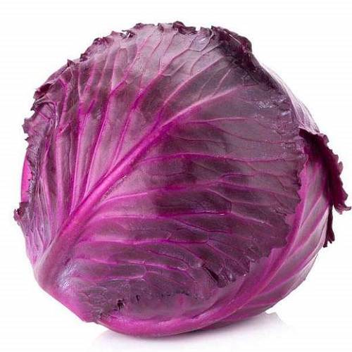 Red Cabbage | Exotic Vegetable Seeds