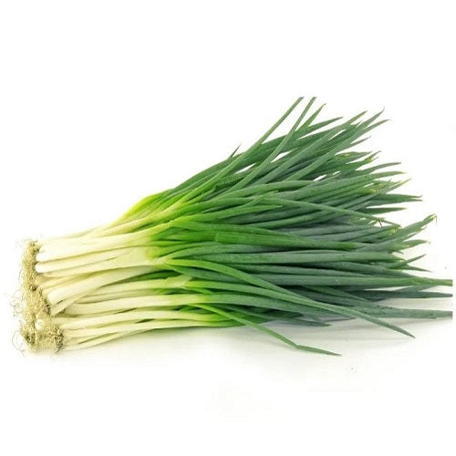 Spring Cut Bunching Onion Exotic Vegetable Seeds