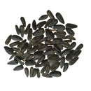 Sunflower Russian Giant Surajmukhi Flower Seeds