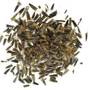 Tithonia Orange Flower Seeds