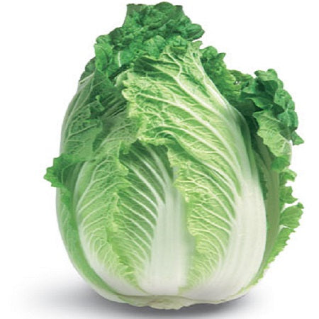 Wong Bok Chinese Cabbage Exotic Vegetable Seeds