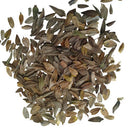 Zinnia Double Orange Color Flower Hybrid Seeds