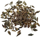 Zinnia Double Red Color | Flower Seeds