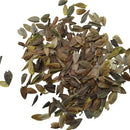 Zinnia Double White Color | Flower Seeds