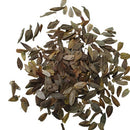 Zinnia Double Yellow Color Flower Hybrid Seeds