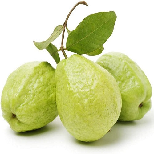 Guava Fruit Plant Seeds | Fruit Seeds