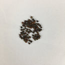 Cauliflower Di Sicilia Violetto | Exotic Vegetable Seeds