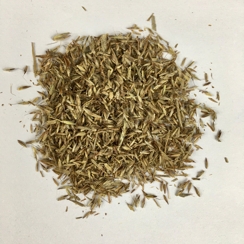 Lemon Grass Herb Seeds