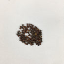 Broccoli Romanesco Exotic Vegetable Seeds