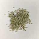 Nemesia Carnival Mixed Colors Flower Seeds