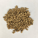 Guava Fruit Plant Seeds | Fruit Seeds