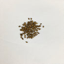 Rosemary Herb Seeds