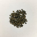 Cleome Spinosa Mixed Colors Flower Seeds