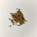 Pansy F1 Yellow Blotch Color Flower Seeds