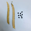 Aparajita Lavender Flower Seeds