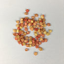 Caribbean Red Habanero Pepper Chilli seeds | Exotic Vegetable Seeds