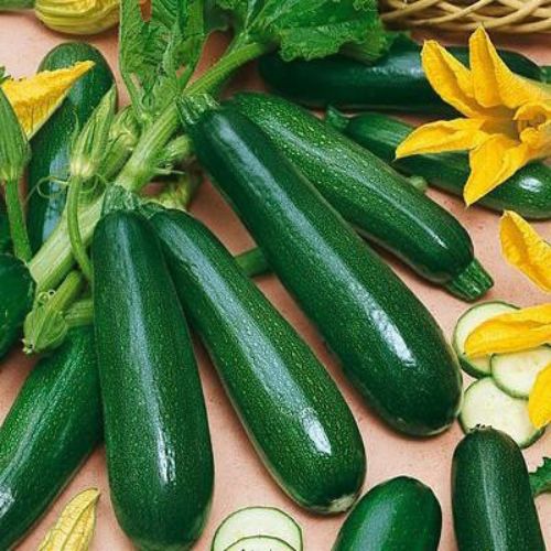 Squash Zucchini Black Beauty | Vegetable Seeds