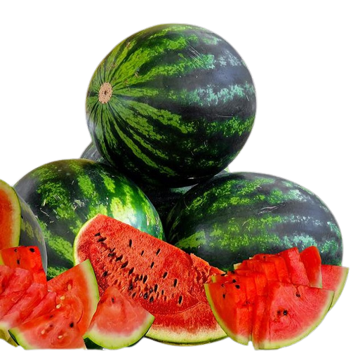 Watermelon Tarbooj Seeds | Fruit Seeds